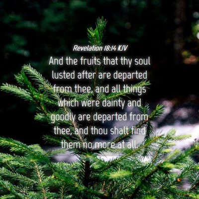 Picture 04 - Revelation 18:14 KJV - And the fruits that thy soul lusted after are - Bible Verse Picture
