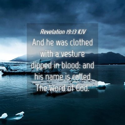 Picture 04 - Revelation 19:13 KJV - And he was clothed with a vesture dipped in - Bible Verse Picture