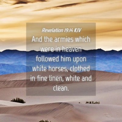 Picture 04 - Revelation 19:14 KJV - And the armies which were in heaven followed him - Bible Verse Picture