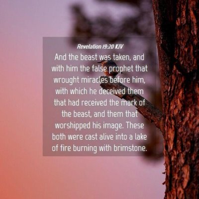 Picture 04 - Revelation 19:20 KJV - And the beast was taken, and with him the false - Bible Verse Picture