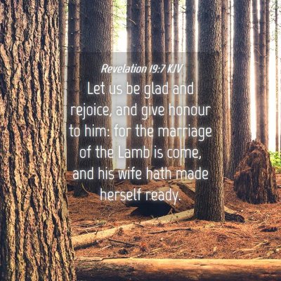 Picture 04 - Revelation 19:7 KJV - Let us be glad and rejoice, and give honour to - Bible Verse Picture