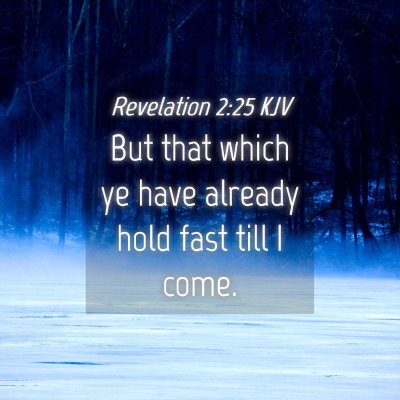 Picture 04 - Revelation 2:25 KJV - But that which ye have already hold fast till I - Bible Verse Picture