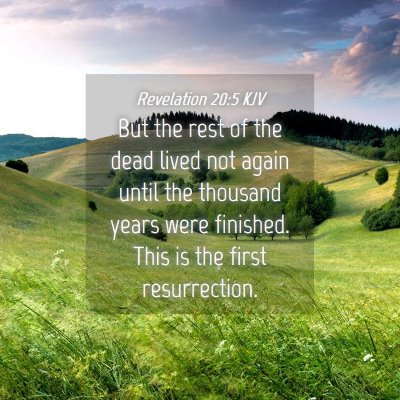 Picture 04 - Revelation 20:5 KJV - But the rest of the dead lived not again until - Bible Verse Picture