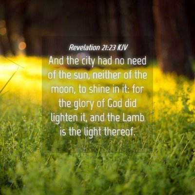 Picture 04 - Revelation 21:23 KJV - And the city had no need of the sun, neither of - Bible Verse Picture