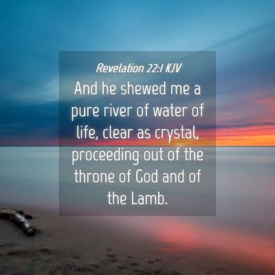 Picture 04 - Revelation 22:1 KJV - And he shewed me a pure river of water of life, - Bible Verse Picture