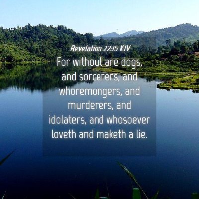 Picture 04 - Revelation 22:15 KJV - For without are dogs, and sorcerers, and - Bible Verse Picture
