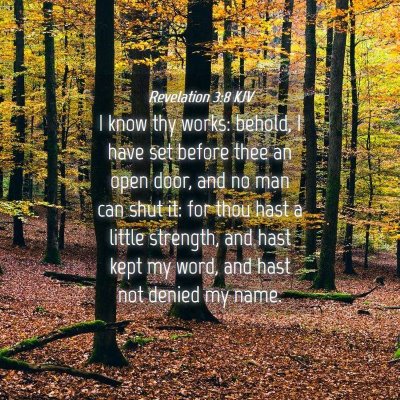 Picture 04 - Revelation 3:8 KJV - I know thy works: behold, I have set before thee - Bible Verse Picture
