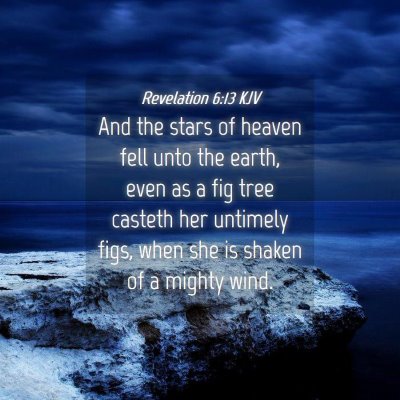 Picture 04 - Revelation 6:13 KJV - And the stars of heaven fell unto the earth, even - Bible Verse Picture