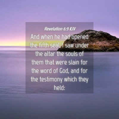 Picture 04 - Revelation 6:9 KJV - And when he had opened the fifth seal, I saw - Bible Verse Picture