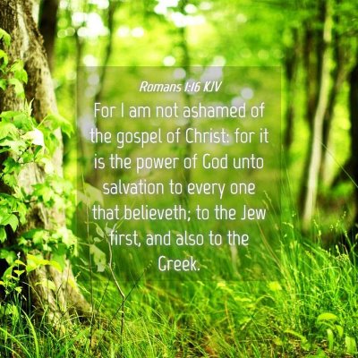 Picture 04 - Romans 1:16 KJV - For I am not ashamed of the gospel of Christ: for - Bible Verse Picture
