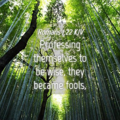Picture 04 - Romans 1:22 KJV - Professing themselves to be wise, they became - Bible Verse Picture