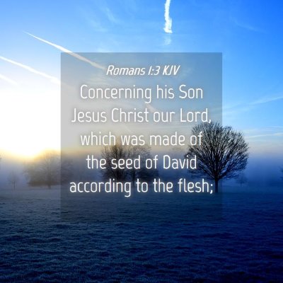 Picture 04 - Romans 1:3 KJV - Concerning his Son Jesus Christ our Lord, which - Bible Verse Picture