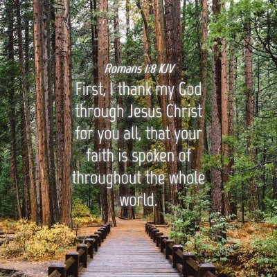 Picture 04 - Romans 1:8 KJV - First, I thank my God through Jesus Christ for - Bible Verse Picture