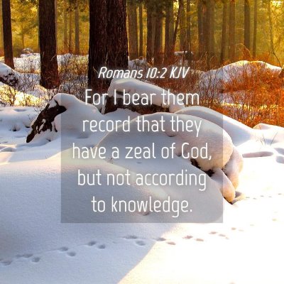 Picture 04 - Romans 10:2 KJV - For I bear them record that they have a zeal of - Bible Verse Picture