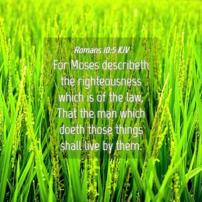 Picture 04 - Romans 10:5 KJV - For Moses describeth the righteousness which is - Bible Verse Picture