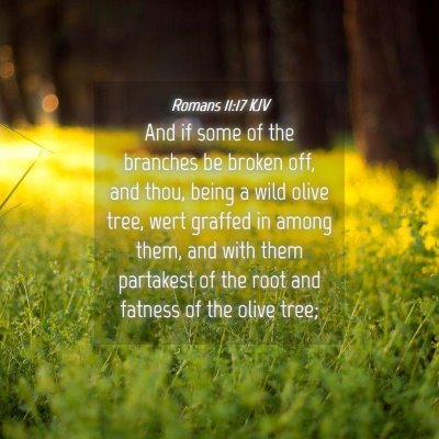 Picture 04 - Romans 11:17 KJV - And if some of the branches be broken off, and - Bible Verse Picture
