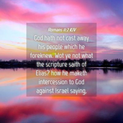 Picture 04 - Romans 11:2 KJV - God hath not cast away his people which he - Bible Verse Picture