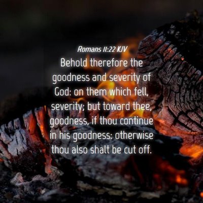 Picture 04 - Romans 11:22 KJV - Behold therefore the goodness and severity of - Bible Verse Picture