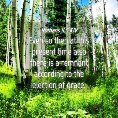 Picture 04 - Romans 11:5 KJV - Even so then at this present time also there is a - Bible Verse Picture