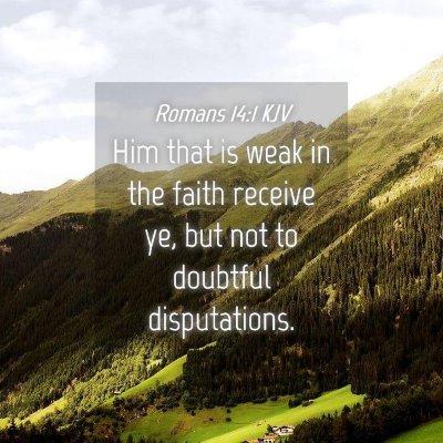 Picture 04 - Romans 14:1 KJV - Him that is weak in the faith receive ye, but not - Bible Verse Picture