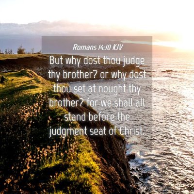 Picture 04 - Romans 14:10 KJV - But why dost thou judge thy brother? or why dost - Bible Verse Picture