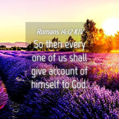 Picture 04 - Romans 14:12 KJV - So then every one of us shall give account of - Bible Verse Picture