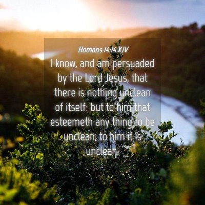 Picture 04 - Romans 14:14 KJV - I know, and am persuaded by the Lord Jesus, that - Bible Verse Picture
