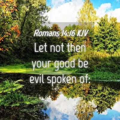 Picture 04 - Romans 14:16 KJV - Let not then your good be evil spoken - Bible Verse Picture