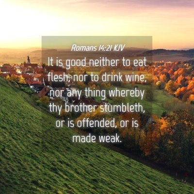 Picture 04 - Romans 14:21 KJV - It is good neither to eat flesh, nor to drink - Bible Verse Picture