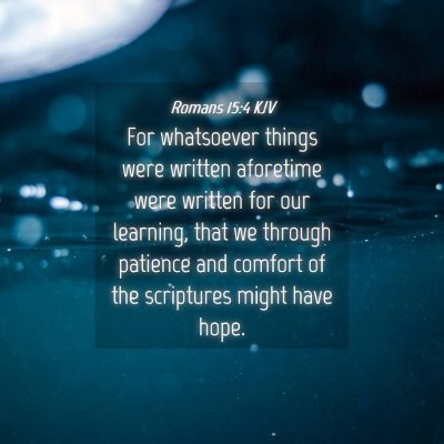 Picture 04 - Romans 15:4 KJV - For whatsoever things were written aforetime were - Bible Verse Picture