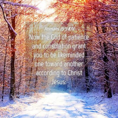 Picture 04 - Romans 15:5 KJV - Now the God of patience and consolation grant you - Bible Verse Picture