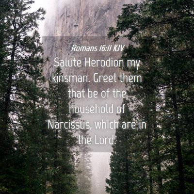 Picture 04 - Romans 16:11 KJV - Salute Herodion my kinsman. Greet them that be of - Bible Verse Picture