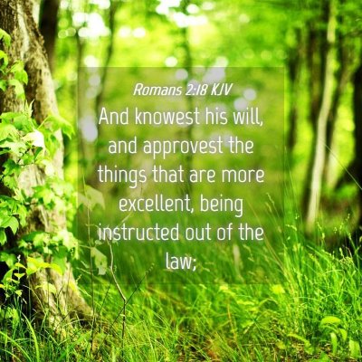 Picture 04 - Romans 2:18 KJV - And knowest his will, and approvest the things - Bible Verse Picture