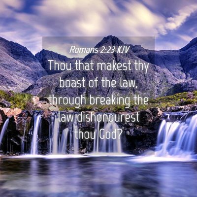 Picture 04 - Romans 2:23 KJV - Thou that makest thy boast of the law, through - Bible Verse Picture