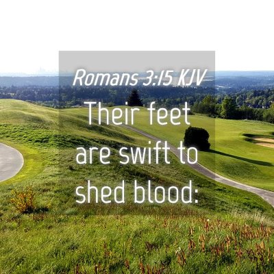 Picture 04 - Romans 3:15 KJV - Their feet are swift to shed - Bible Verse Picture