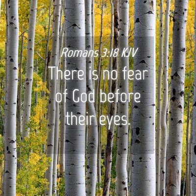 Picture 04 - Romans 3:18 KJV - There is no fear of God before their - Bible Verse Picture