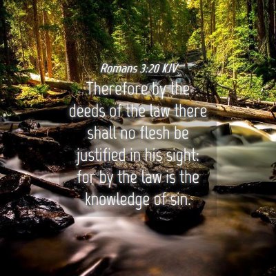 Picture 04 - Romans 3:20 KJV - Therefore by the deeds of the law there shall no - Bible Verse Picture