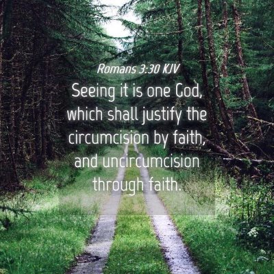 Picture 04 - Romans 3:30 KJV - Seeing it is one God, which shall justify the - Bible Verse Picture