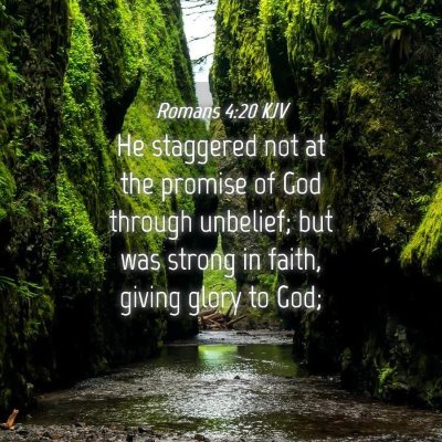 Picture 04 - Romans 4:20 KJV - He staggered not at the promise of God through - Bible Verse Picture