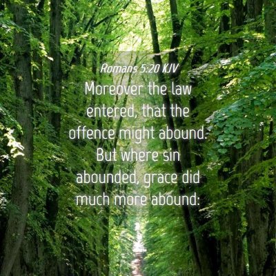 Picture 04 - Romans 5:20 KJV - Moreover the law entered, that the offence might - Bible Verse Picture
