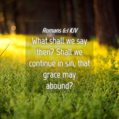 Picture 04 - Romans 6:1 KJV - What shall we say then? Shall we continue in sin, - Bible Verse Picture