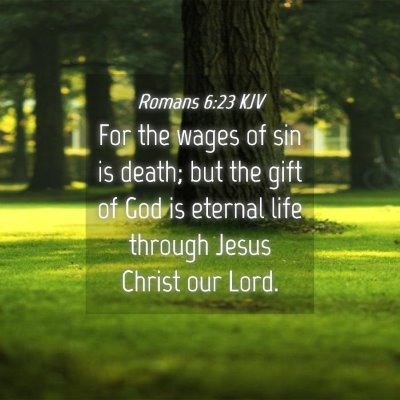 Picture 04 - Romans 6:23 KJV - For the wages of sin is death; but the gift of - Bible Verse Picture