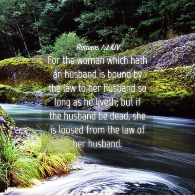 Picture 04 - Romans 7:2 KJV - For the woman which hath an husband is bound by - Bible Verse Picture