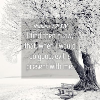 Picture 04 - Romans 7:21 KJV - I find then a law, that, when I would do good, - Bible Verse Picture