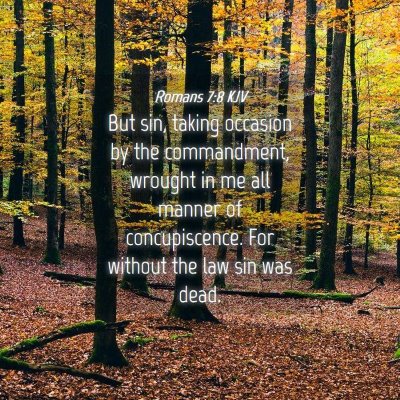 Picture 04 - Romans 7:8 KJV - But sin, taking occasion by the commandment, - Bible Verse Picture