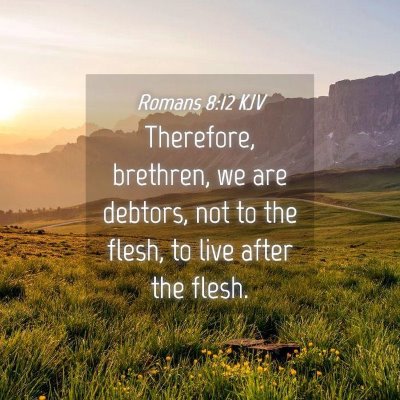 Picture 04 - Romans 8:12 KJV - Therefore, brethren, we are debtors, not to the - Bible Verse Picture