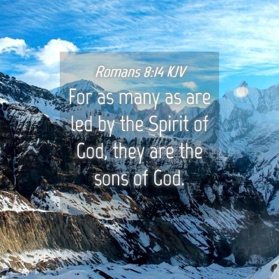 Picture 04 - Romans 8:14 KJV - For as many as are led by the Spirit of God, they - Bible Verse Picture