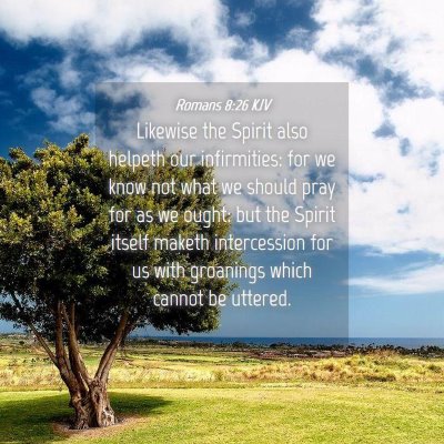 Picture 04 - Romans 8:26 KJV - Likewise the Spirit also helpeth our infirmities: - Bible Verse Picture