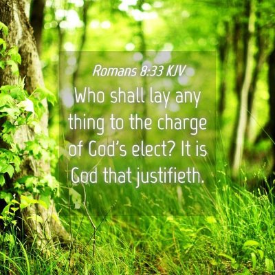 Picture 04 - Romans 8:33 KJV - Who shall lay any thing to the charge of God's - Bible Verse Picture
