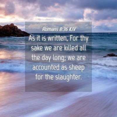 Picture 04 - Romans 8:36 KJV - As it is written, For thy sake we are killed all - Bible Verse Picture